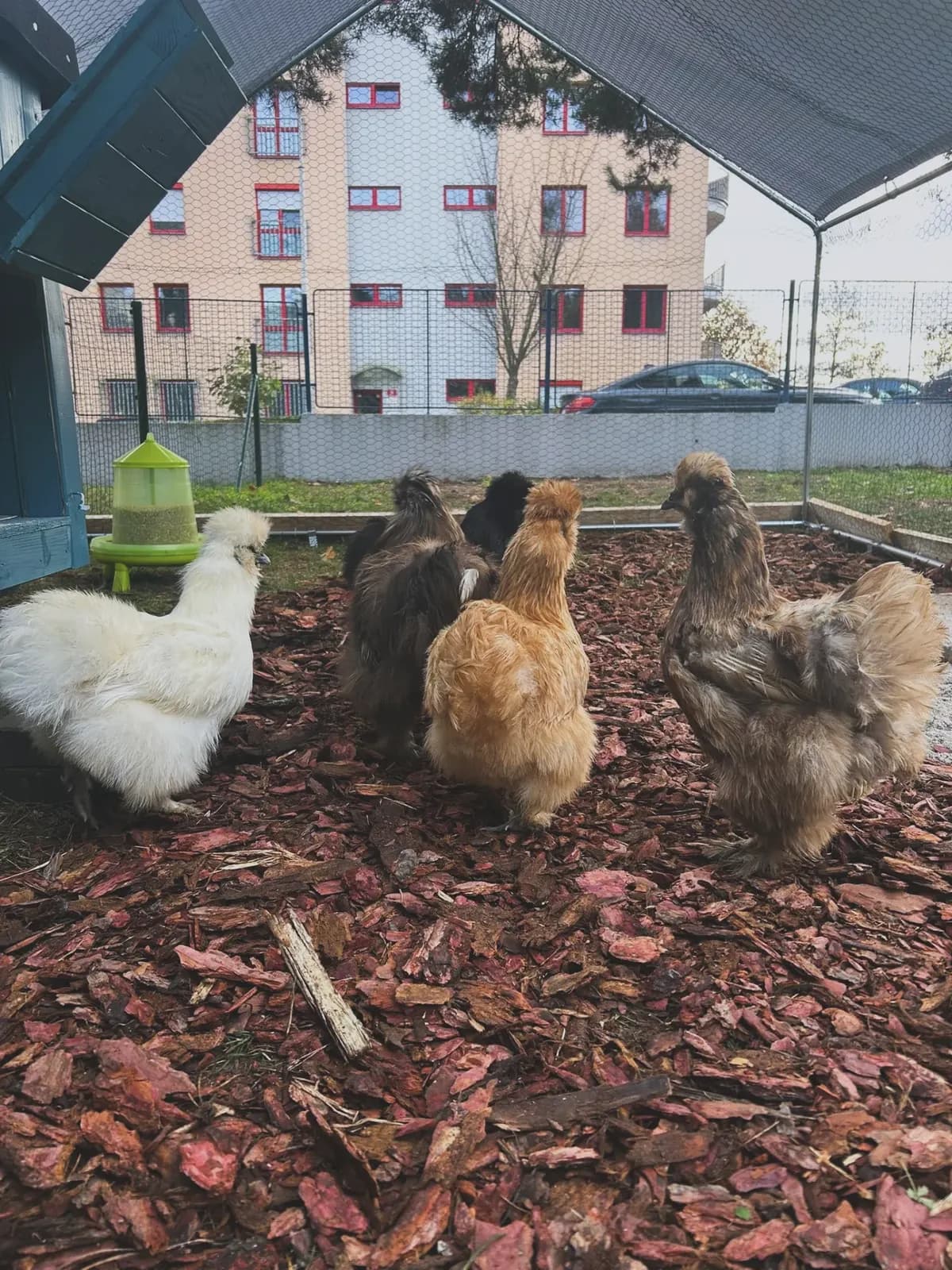 Chovat a chápat: Nový projekt zaměřený na chov hedvábniček, fotografie 10