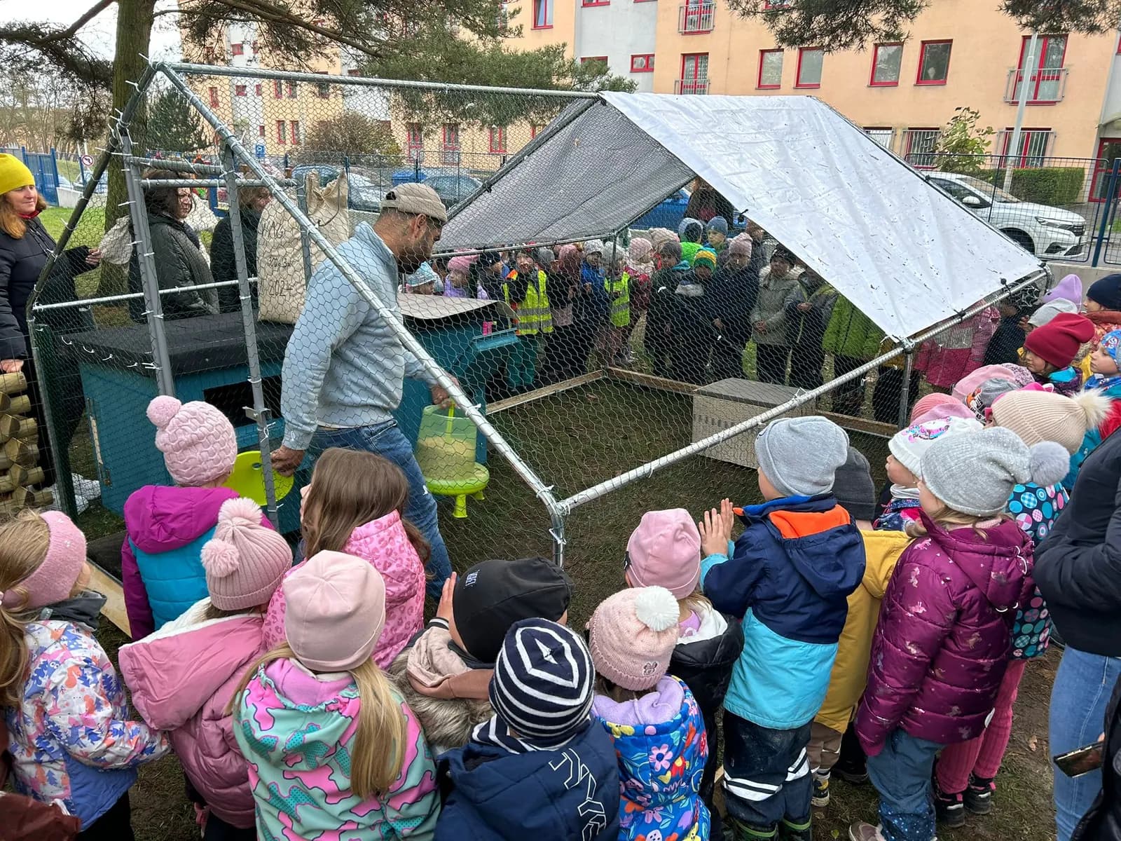 Chovat a chápat: Nový projekt zaměřený na chov hedvábniček, fotografie 13