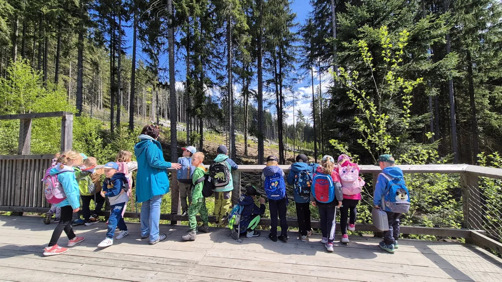 Nejlepší kurikulum je mezi stromy, fotografie 111