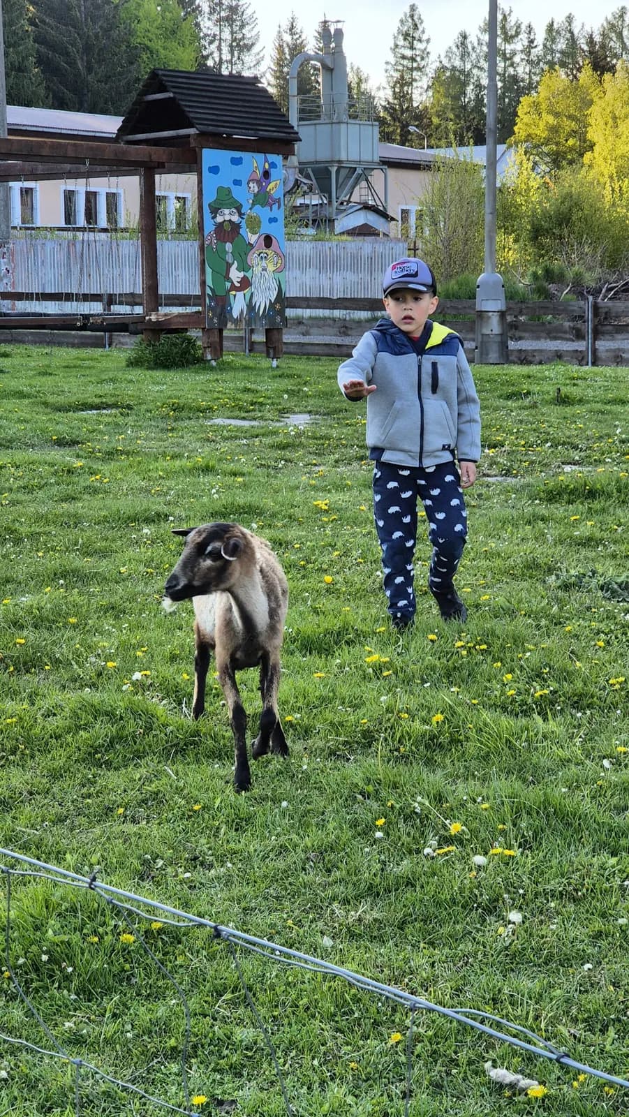 Nejlepší kurikulum je mezi stromy, fotografie 110