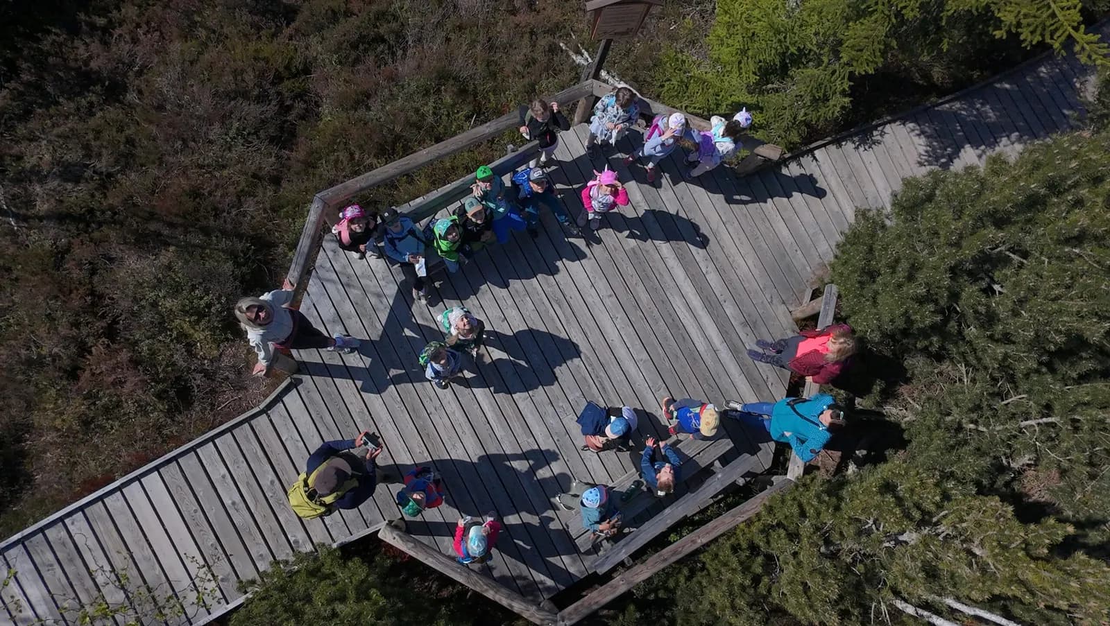 Nejlepší kurikulum je mezi stromy, fotografie 40