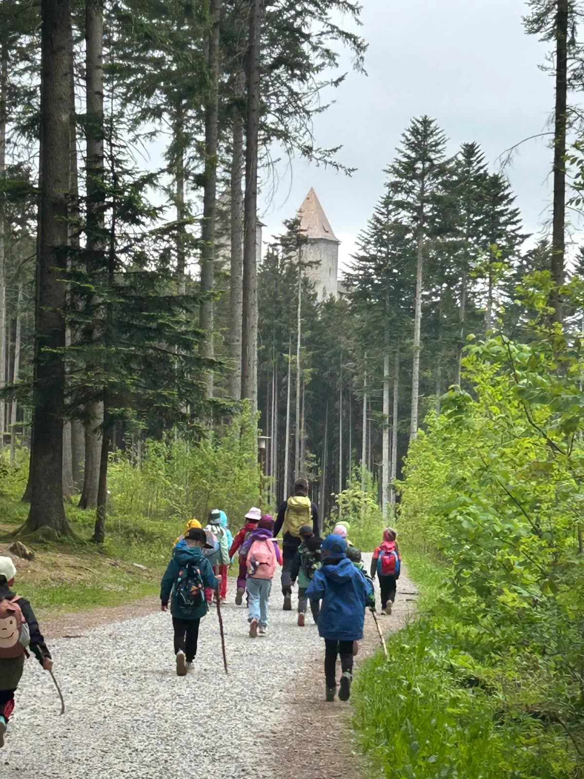 Nejlepší kurikulum je mezi stromy, fotografie 1